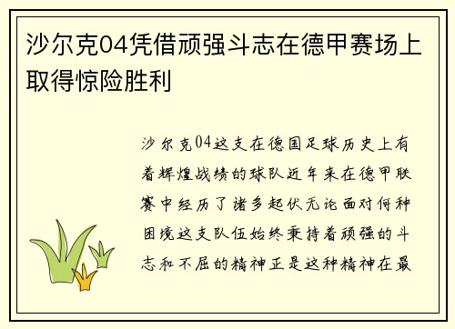 沙尔克04凭借顽强斗志在德甲赛场上取得惊险胜利