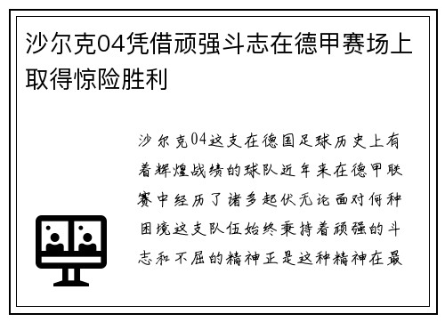 沙尔克04凭借顽强斗志在德甲赛场上取得惊险胜利